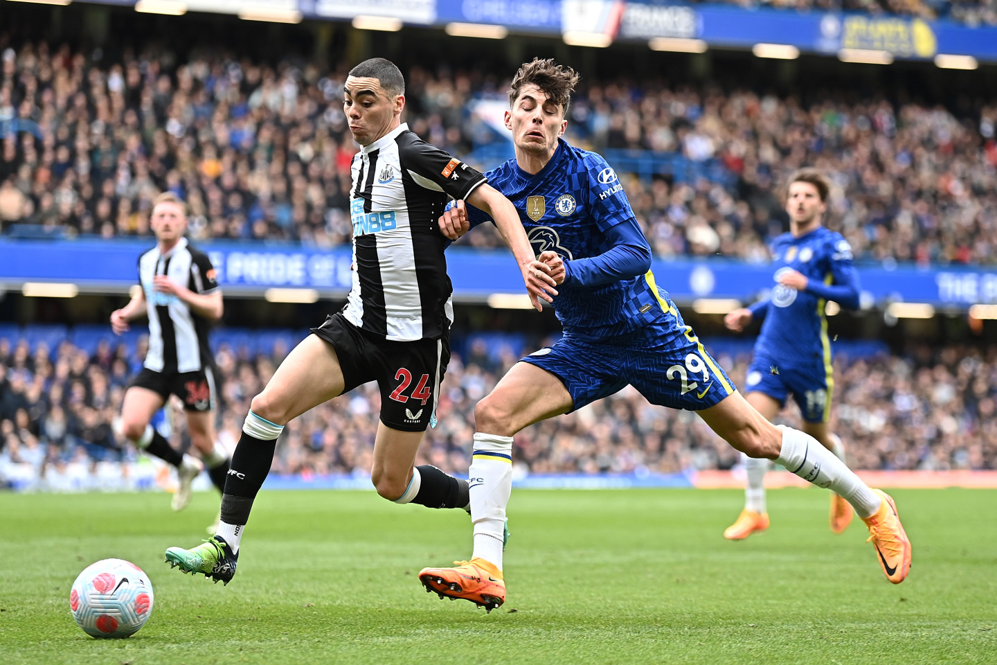 Newcastle vs Chelsea: Facts at your fingertips | News | Official Site |  Chelsea Football Club