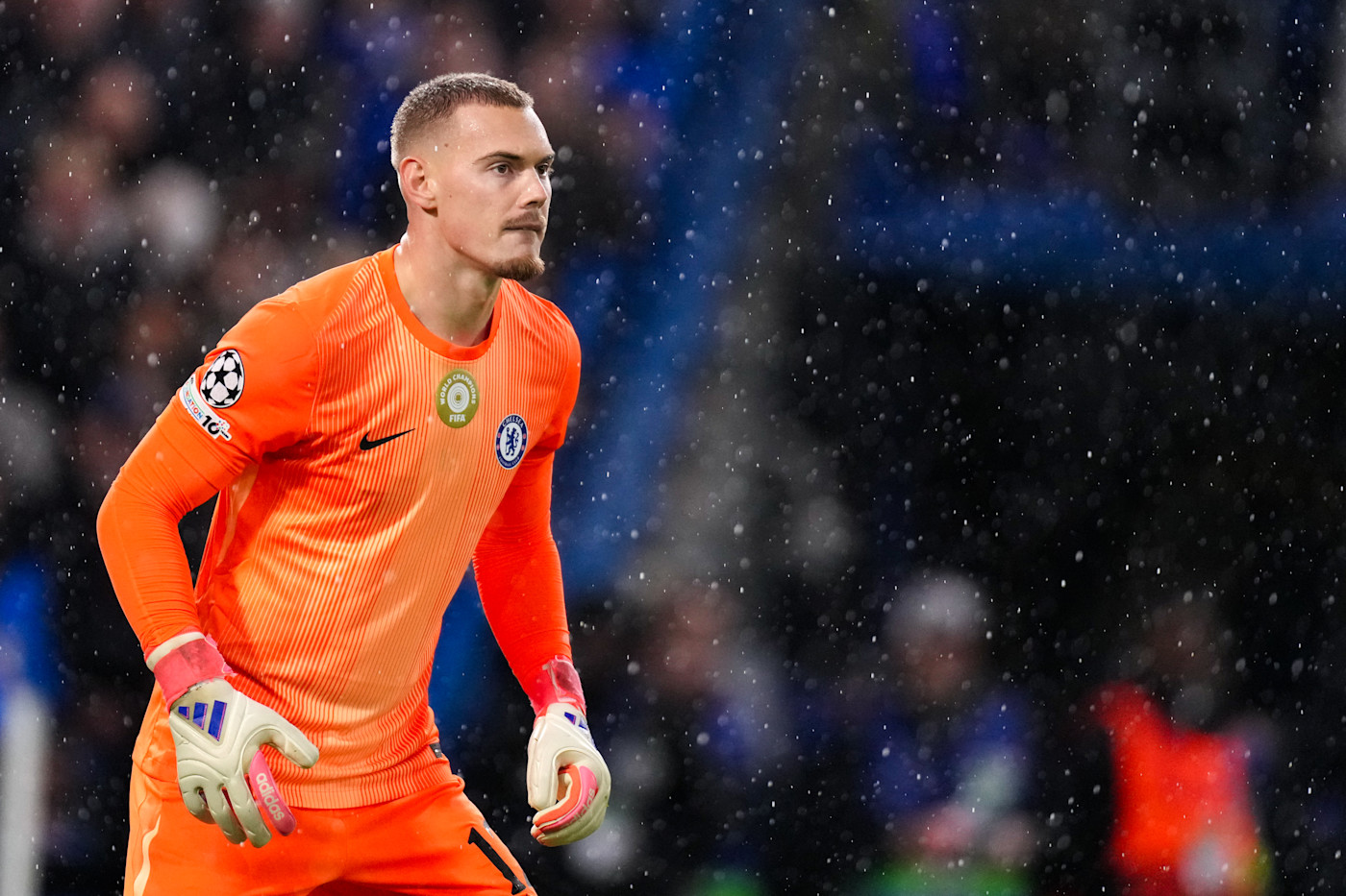 Filip Jorgensen | Profile | Official Site | Chelsea Football Club