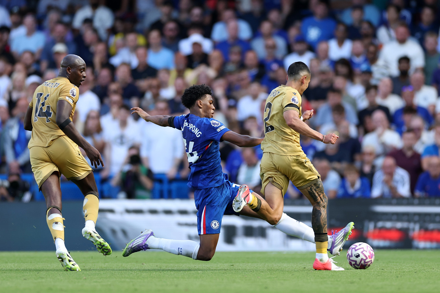 Maresca reflects on Estevao and Acheampong performances | News | Official  Site | Chelsea Football Club