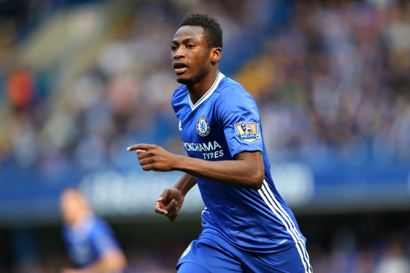 Baba chelsea outlet