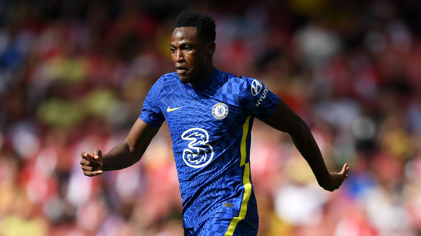 Baba chelsea best sale
