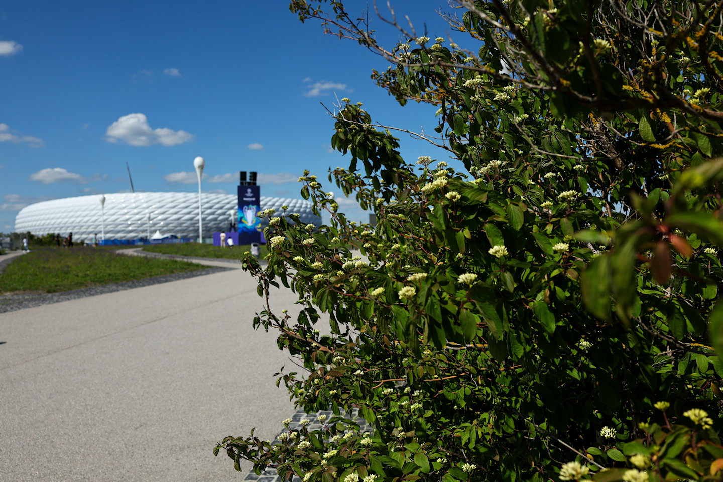 Important information for Chelsea fans attending away game vs Bayern Munich