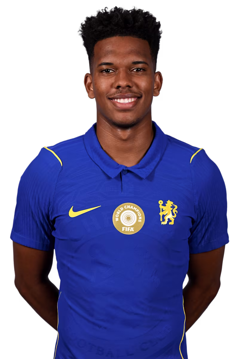 Portrait of Estêvão